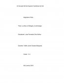 Título: La ética, la filología y la etimología