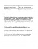 Actividad I. Sinopsis Jet Airways