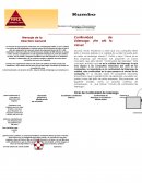 Continuidad de Liderazgo