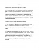 Depresión central mestizo-zoque, Tuxtla Gutiérrez, Chiapas.