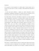 Ensayo neuroanatomia Introducción.