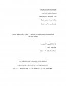 CARACTERIZACIÓN, USOS Y LIMITACIONES DE LA TEORIA DE LOS GATEKEEPERS