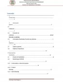 INFORME DE PRÁCTICAS PRE – PROFESIONALES