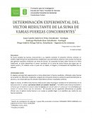 DETERMINACIÓN EXPERIMENTAL DEL VECTOR RESULTANTE DE LA SUMA DE VARIAS FUERZAS CONCURRENTES