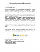 Interpretación encuesta Viaje Combinado