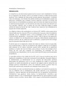 Metabolismo y su fin en el mundo