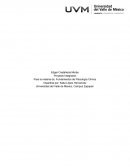 Trabajo Final Fundamento psicología clínica