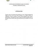 Como se da el Diagrama de flujo INTRODUCCIÓN