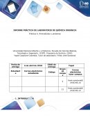 INFORME PRÁCTICA DE LABORATORIO DE QUÍMICA ORGÁNICA