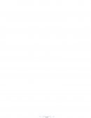 DISEÑO E IMPLANTACIÓN DE UN SISTEMA DE APOYO A LAS DECISIONES