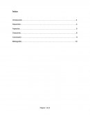 Español 1, Etapa 3, Actividad de aplicación