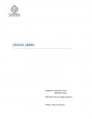 TNS prevención de riesgos paralelo II