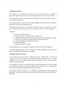 Tejido Hematopoyetico