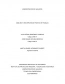 ANÁLISIS Y DESCRIPCIÓN DE PUESTO DE TRABAJO