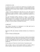 RUEDA DE LA VIDA EJERCICIO