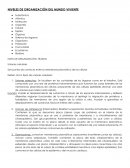 NIVELES DE ORGANIZACIÓN DEL MUNDO VIVIENTE tejidos