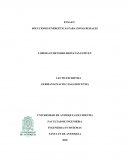 SOLUCIONES ENERGÉTICAS PARA ZONAS RURALES