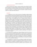 DERECHO AMBIENTAL ANALISIS DE SENTENCIA