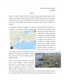 Energia verde. Reflexion contaminacion