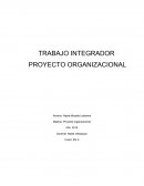 TRABAJO INTEGRADOR PROYECTO ORGANIZACIONAL