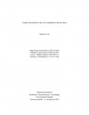 CAMPO MAGNÉTICO DE UNA CORRIENTE RECTILÍNEA