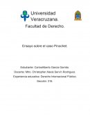 Ensayo sobre el caso Pinochet