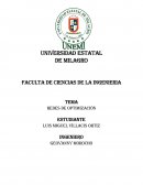 REDES DE OPTIMIZACIÓN