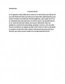 La sonrisa de kai, que fue diagnosticado con autismo y síndrome de Down