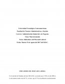 INDICADORES DEL MERCADO LABORAL