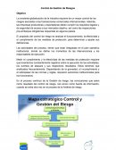 Control de Gestión de Riesgos