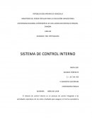Auditoria. El sistema de control interno