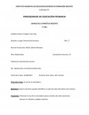 Plan de clase PROFESORADO DE EDUCACIÓN PRIMARIA