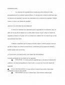 Cinturon de seguridad