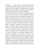Fuerza al limite