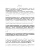 ENSAYO salud y seguridad en el trabajo