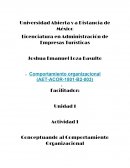 Actividad 1 (Comportamiento Organizacional)