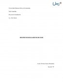 Resumen Reglamento Tesis