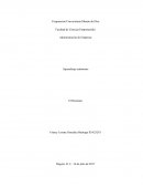 Aprendizaje autónomo El Resumen