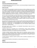 RESUMEN NEUROPSICOLOGIA