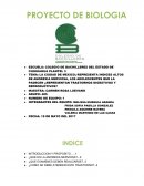 LA CIUDAD DE MEXICO; REPRESENTA INDICES ALTOS DE ANOREXIA NERVIOSA, LOS ADOLESCENTES QUE LA PADECEN ¿REPRESENTAN TRASTORNOS DIGESTIVOS Y REPRODUCTIVOS?