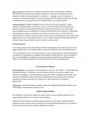 Arte. Evolución histórica