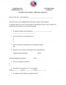 GUÍA PRACTICA DE ADMINISTRACION DE CAPITAL DE TRABAJO
