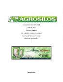 Gerencia de Recursos Humanos Informe de Agrosilos; S.A.