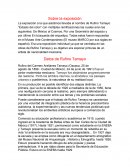 Análisis “El rockanrolero”