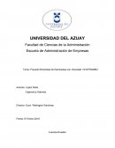 Proyecto Brochetas de frambuesas con chocolate “CHOFRAMBU”