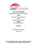 Informe de proyecto “Carbón Ecológico”