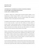 Analisis de las sentencias entre el TEDH y la CIDH