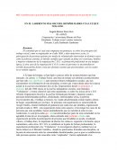 EN EL LABERINTO MÁS OSCURO, SIEMPRE HABRÁ UNA LUZ QUE NOS GUIE