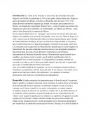 Ensayo "la visión de los caídos"