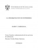 Enfermeria y su jerarquizacion